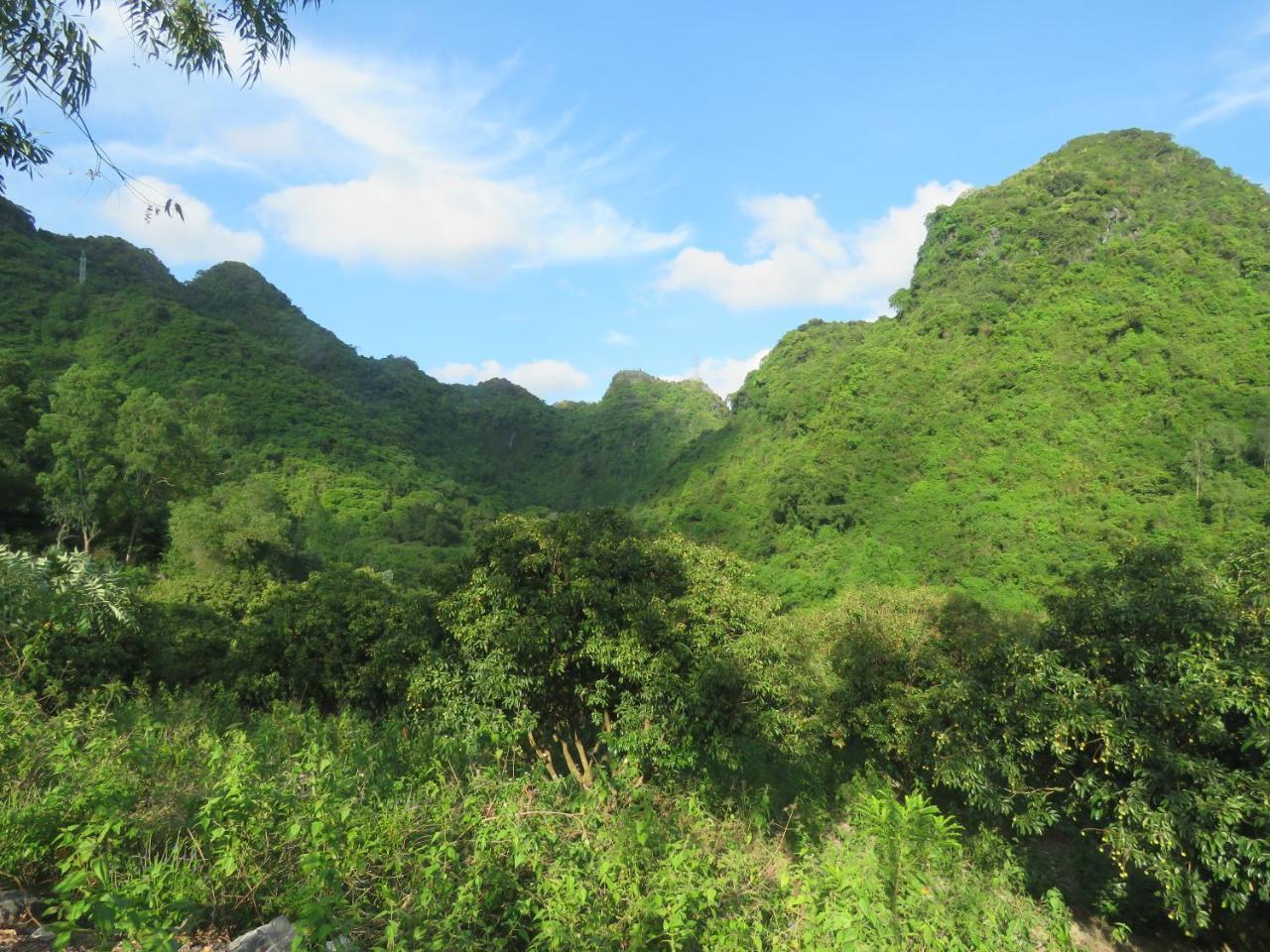 Cat Ba Eco Lodge Resort Hien Hao Экстерьер фото